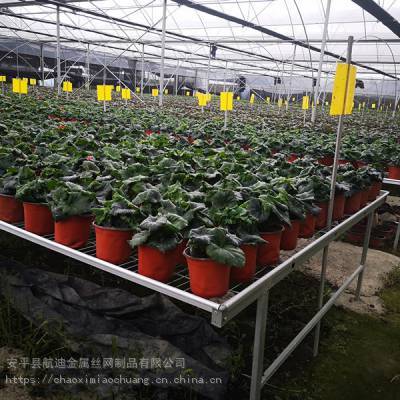 2020北方水稻移動育苗床 金屬制品助力生產量提升