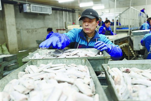 連云港規(guī)上工業(yè)企業(yè)穩(wěn)產(chǎn)增 食品經(jīng)營助力經(jīng)濟(jì)社會發(fā)展首季開門紅