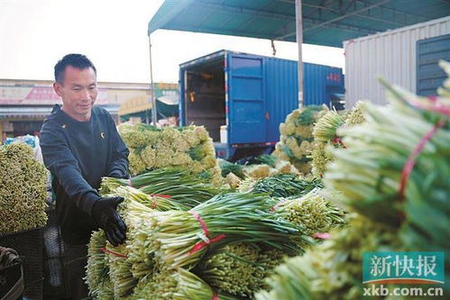 佛山南海建成消費幫扶黔貨入粵集散地 助推食品經(jīng)營升級
